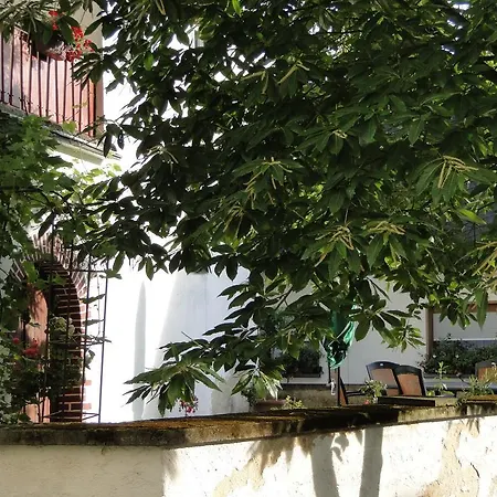 Panzió Altes Pfarrhaus Senheim
